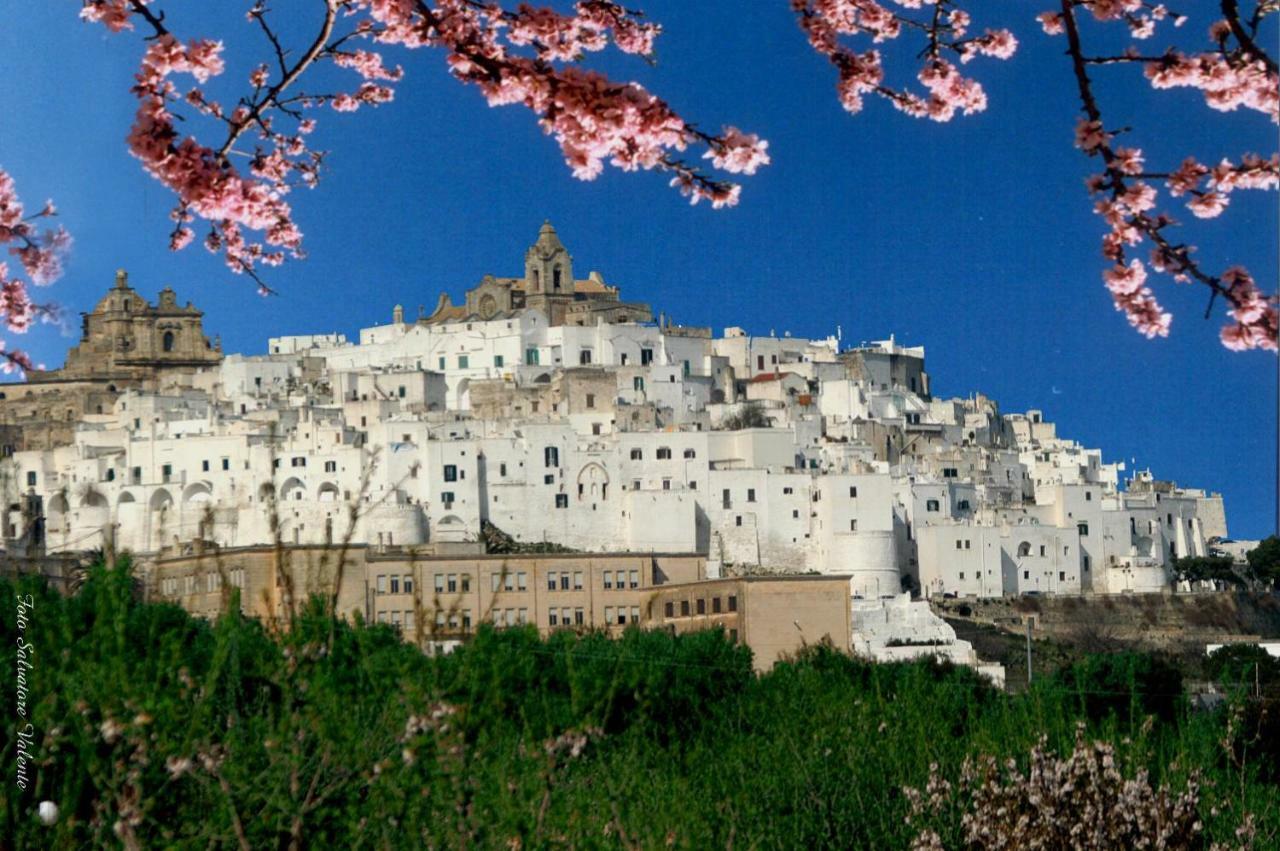 Villa Trullo Ramachandra Carovigno Exterior foto